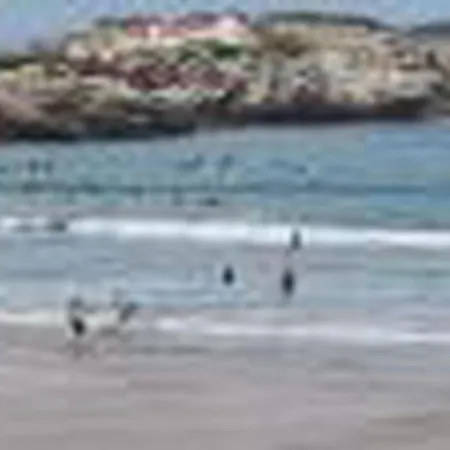 Brandneue Strandwohnung 1 By Interhome * Ferrel (Leiria)